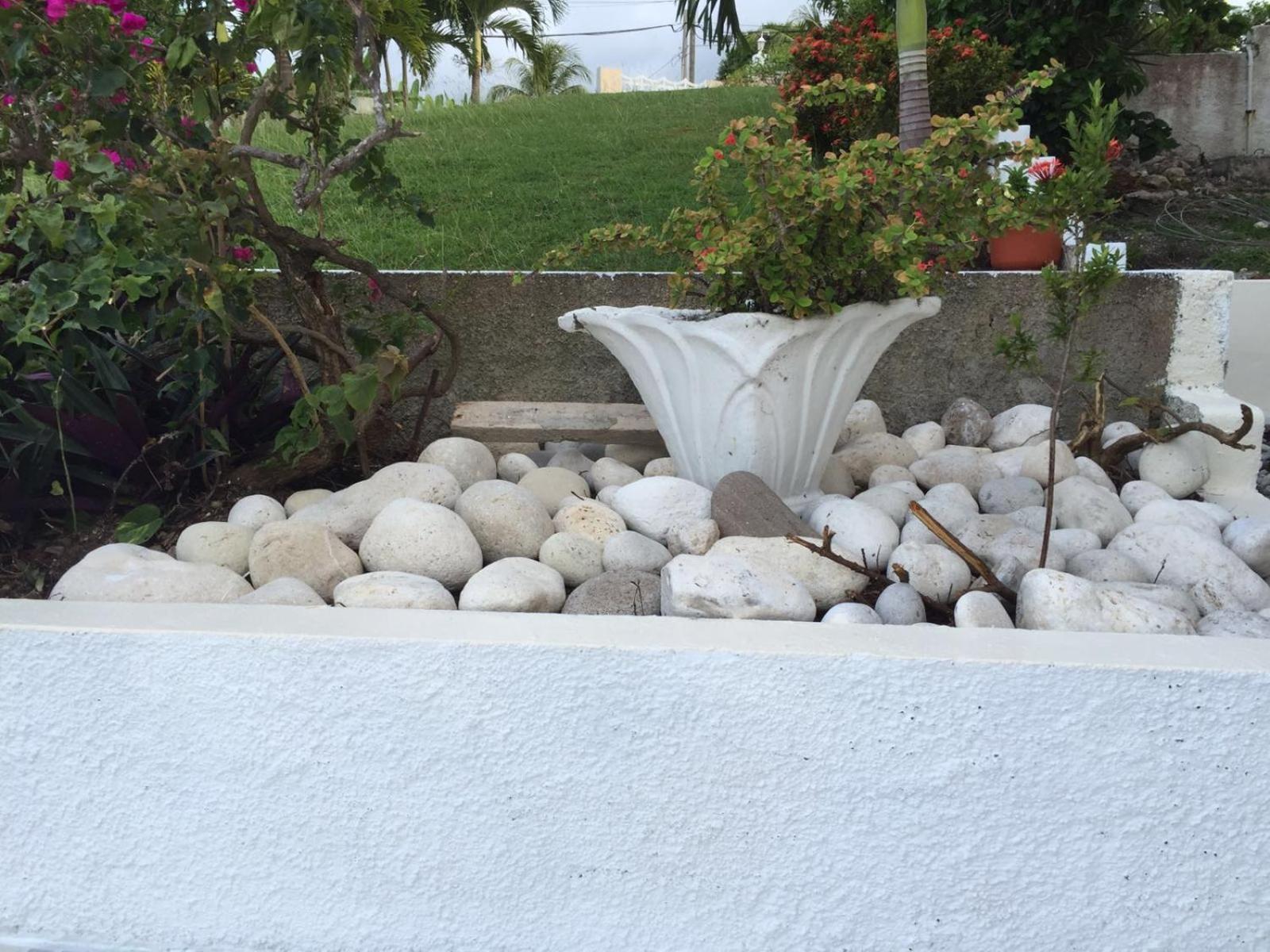 Goldenview Guesthouse Ocho Rios Eksteriør billede