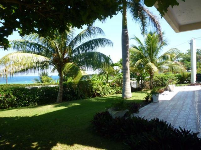 Goldenview Guesthouse Ocho Rios Eksteriør billede