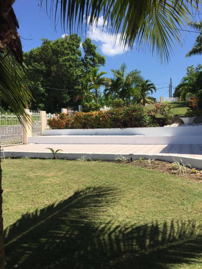 Goldenview Guesthouse Ocho Rios Eksteriør billede